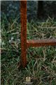 Trellis OTTO