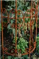 Trellis TOBIAS
