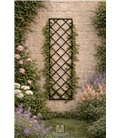 Trellis MILO