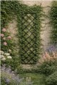 Trellis MILO