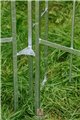 Support pour plantes grimpantes Anna