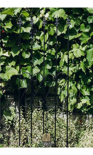Support pour plantes grimpantes Rose