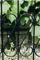 Support pour plantes grimpantes Rose