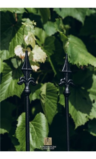 Support pour plantes grimpantes Rose