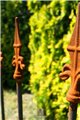 Support pour plantes grimpantes Rose