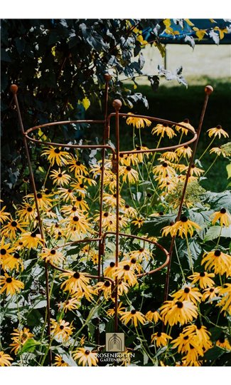 Support pour plantes grimpantes OVAL