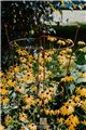 Support pour plantes grimpantes OVAL