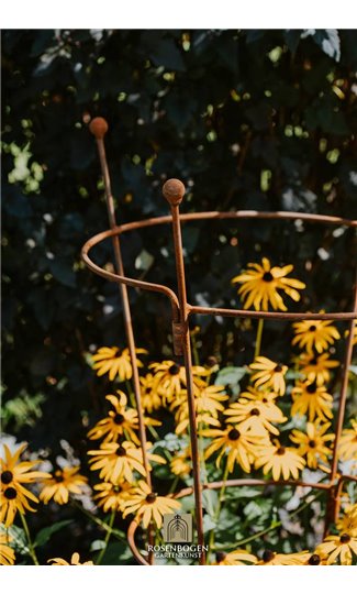 Support pour plantes grimpantes OVAL