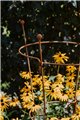Support pour plantes grimpantes OVAL