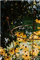 Support pour plantes grimpantes OVAL