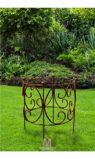 Support pour plantes grimpantes RING