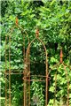 Trellis TRIMARCO 3 Set