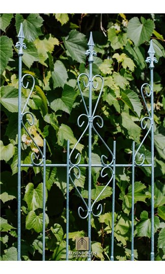 Support pour plantes grimpantes ANN