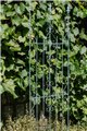 Support pour plantes grimpantes ANN