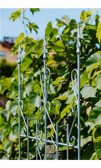 Support pour plantes grimpantes ANN