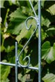 Support pour plantes grimpantes ANN