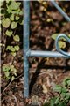 Support pour plantes grimpantes ANN