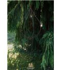 Support pour plantes grimpantes HANS