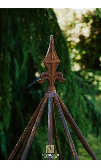 Support pour plantes grimpantes HANS