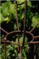 Support pour plantes grimpantes HANS