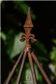 Support pour plantes grimpantes HANS