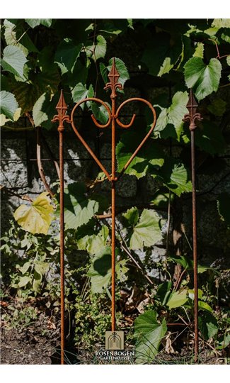 Support pour plantes grimpantes JOHANN - 3 Set