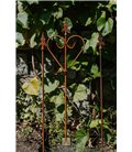 Support pour plantes grimpantes JOHANN - 3 Set
