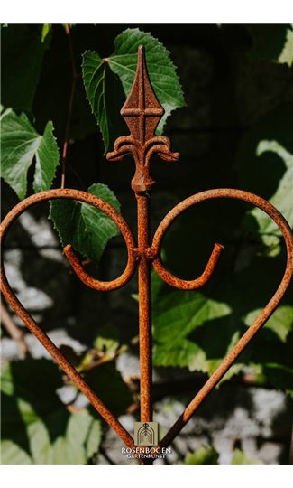 Support pour plantes grimpantes JOHANN - 3 Set