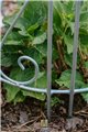 Support pour plantes grimpantes JULI