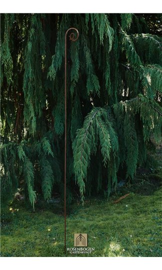 Support pour plantes grimpantes KLAUS