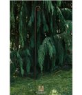 Support pour plantes grimpantes KLAUS