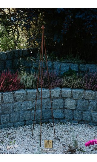 Support pour plantes grimpantes PAUL