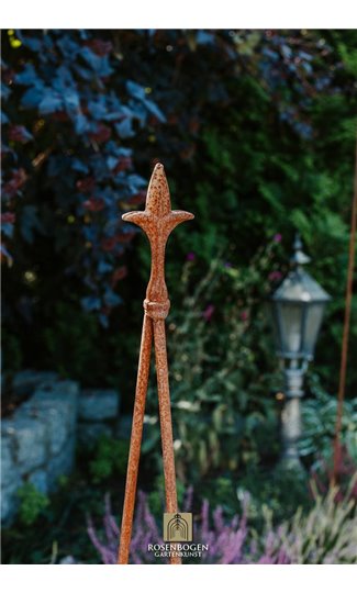 Support pour plantes grimpantes PAUL