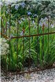 Trellis SILVAN