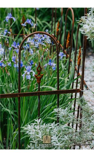 Trellis SILVAN