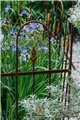 Trellis SILVAN