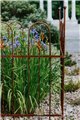Trellis SILVAN