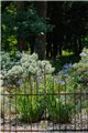 Trellis SILVAN