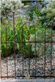 Trellis SILVAN