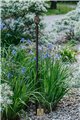 Support pour plantes grimpantes BREN
