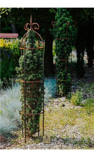 Support pour plantes grimpantes HAKON