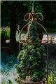 Support pour plantes grimpantes HAKON