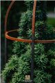 Support pour plantes grimpantes HAKON