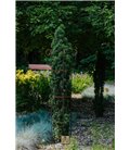 Support pour plantes grimpantes KIAN