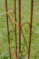 Arche de jardin ALEX Lilie Spitze