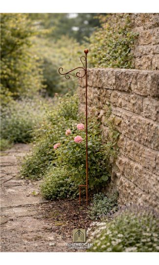 Support pour plantes grimpantes RUNA
