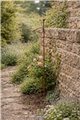 Support pour plantes grimpantes RUNA