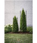 Support pour plantes grimpantes DUO 2 - Set