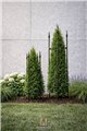 Support pour plantes grimpantes DUO 2 - Set