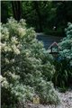 décoration de jardin VOG